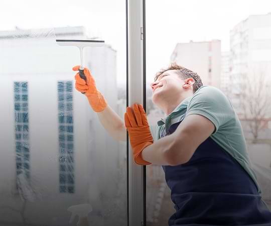 Professional window cleaning and maintenance service